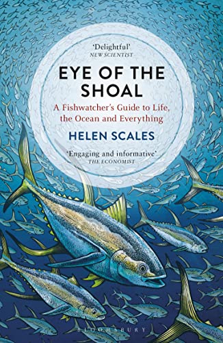 Eye of the Shoal: A Fishwatcher's Guide to Life, the Ocean and Everything von Bloomsbury